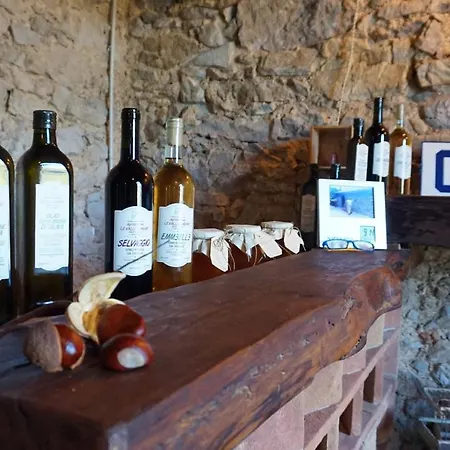 Agriturismo Le Vallilunghe Apartment *